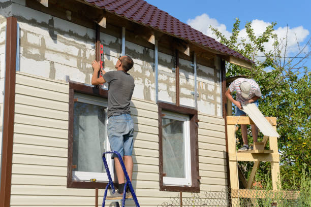 Best Insulated Siding Installation  in Honokaa, HI